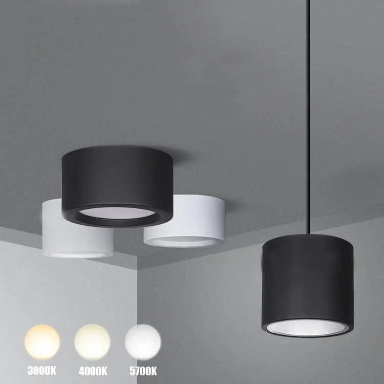 LED Rimless Surface Panel Light